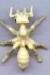 Termit